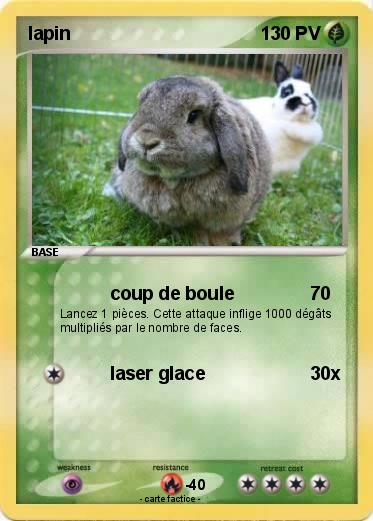 Pokemon lapin