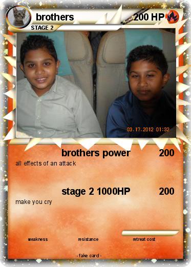 Pokemon brothers