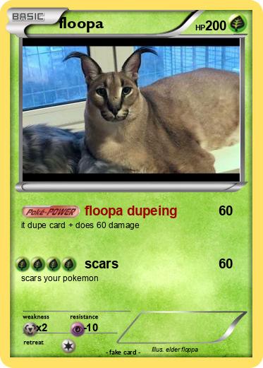 Pokemon floopa