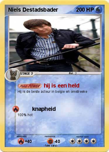 Pokemon Niels Destadsbader