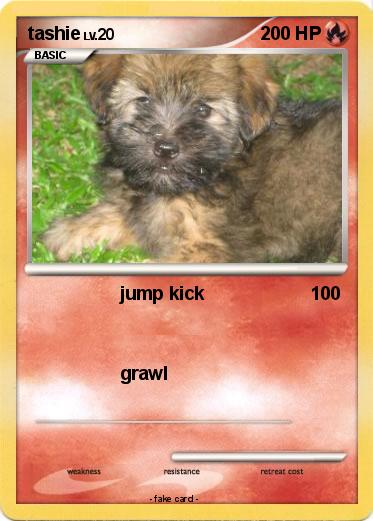 Pokemon tashie