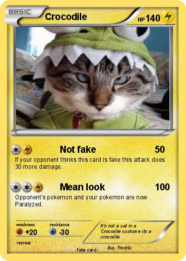 Pokemon Crocodile