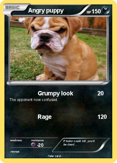 Pokemon Angry puppy