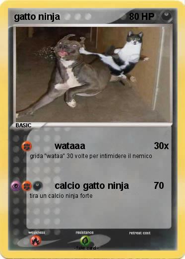Pokemon gatto ninja