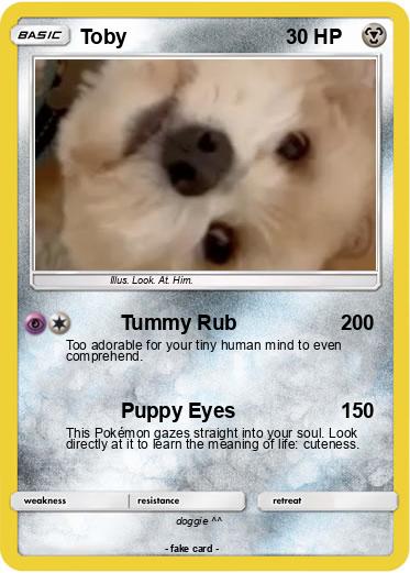 Pokemon Toby