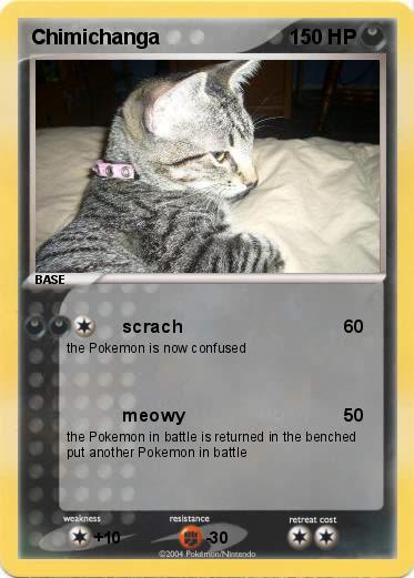 Pokemon Chimichanga