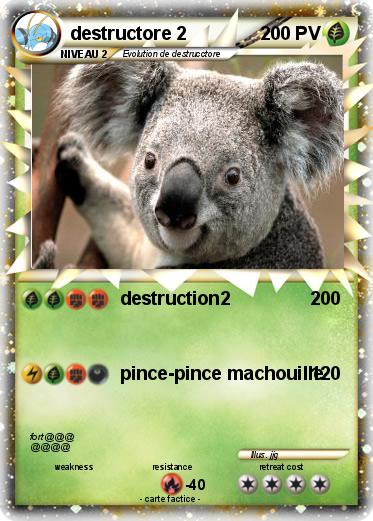 Pokemon destructore 2