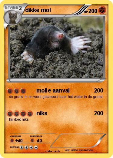 Pokemon dikke mol