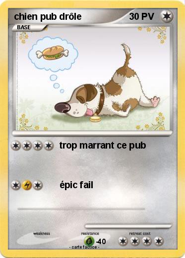 Pokemon chien pub drôle
