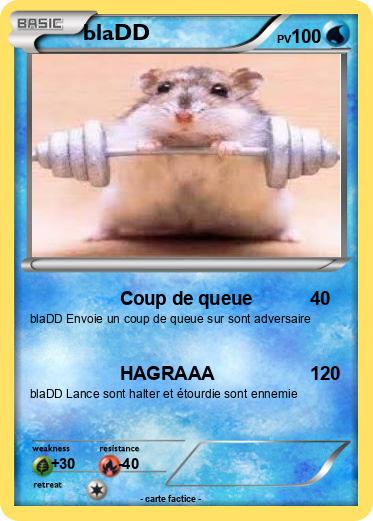 Pokemon blaDD
