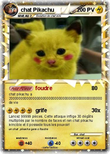 Pokemon chat Pikachu