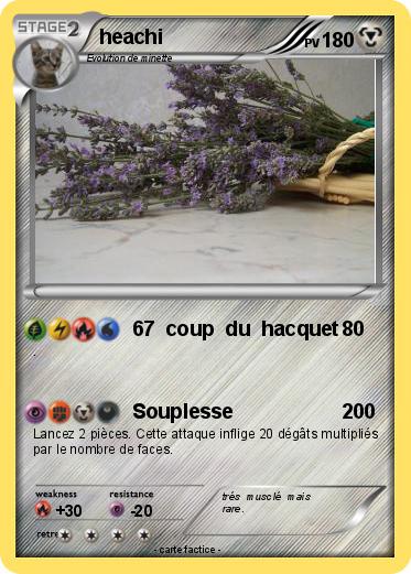 Pokemon heachi