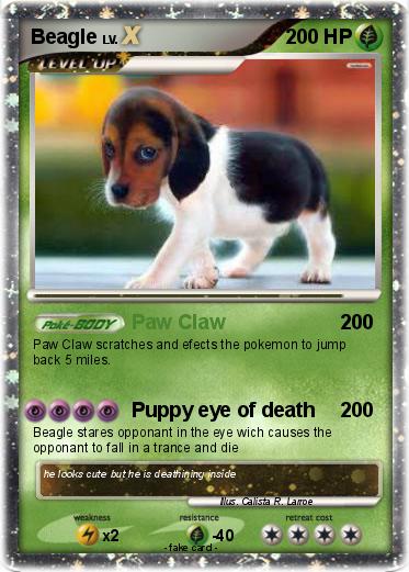 Pokemon Beagle