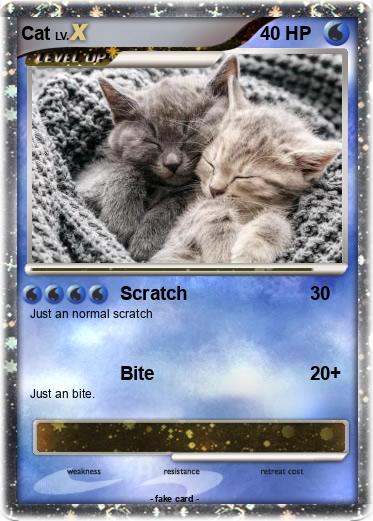 Pokemon Cat