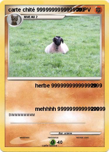 Pokemon carte chité 9999999999999999