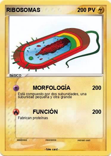Pokemon RIBOSOMAS