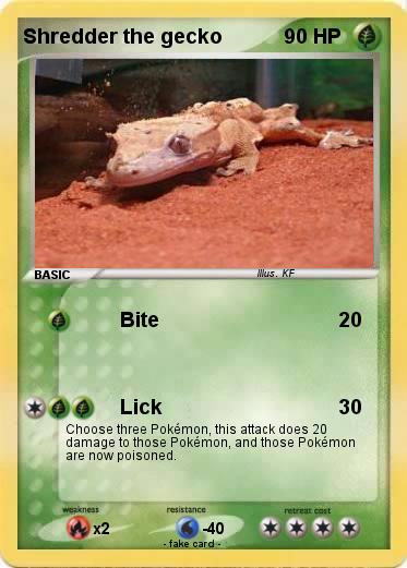 Pokemon Shredder the gecko