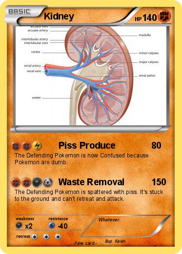 Pokemon Kidney