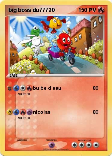 Pokemon big boss du77720