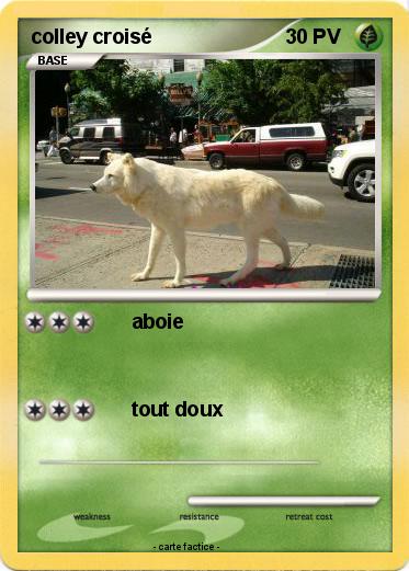 Pokemon colley croisé