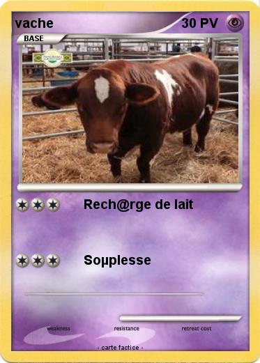 Pokemon vache