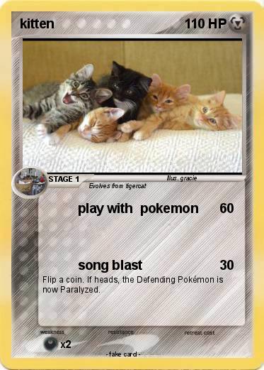 Pokemon kitten