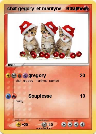 Pokemon chat gegory  et marilyne   et raphael