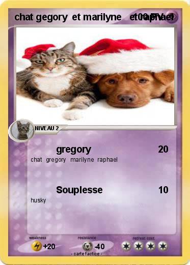 Pokemon chat gegory  et marilyne   et raphael