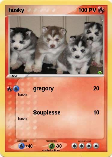 Pokemon husky