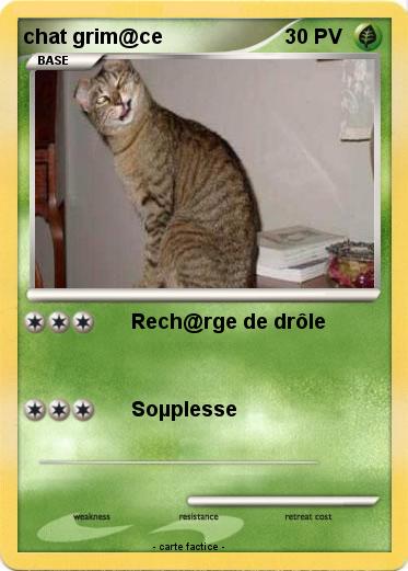 Pokemon chat grim@ce