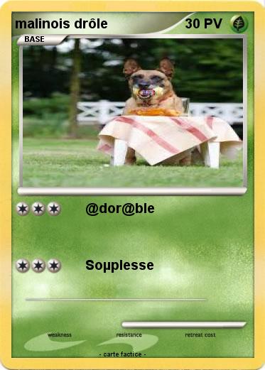 Pokemon malinois drôle