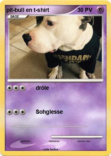 Pokemon pit-bull en t-shirt