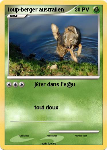 Pokemon loup-berger australien