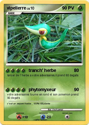 Pokemon vipelierre