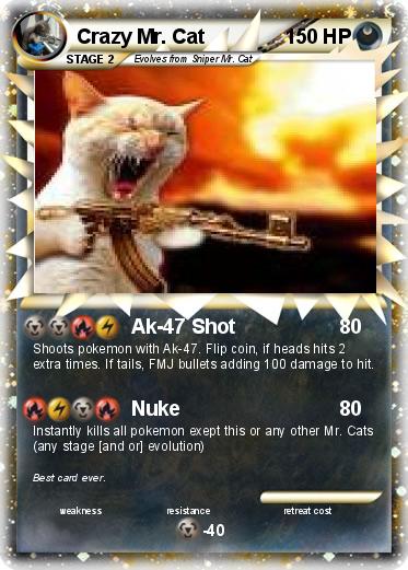 Pokemon Crazy Mr. Cat
