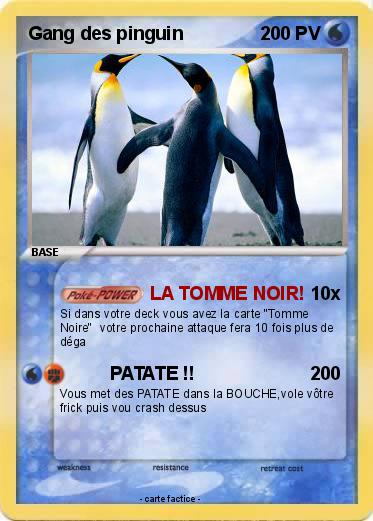 Pokemon Gang des pinguin