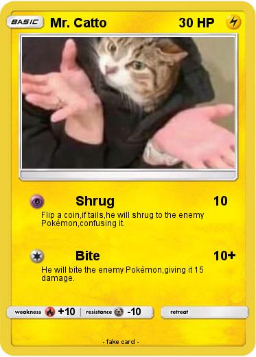 Pokemon Mr. Catto