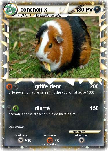 Pokemon conchon X