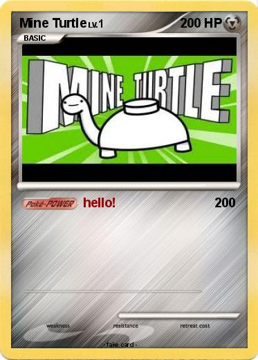 Pokemon Mine Turtle