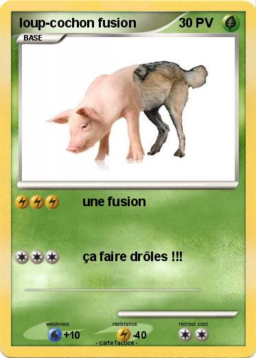 Pokemon loup-cochon fusion