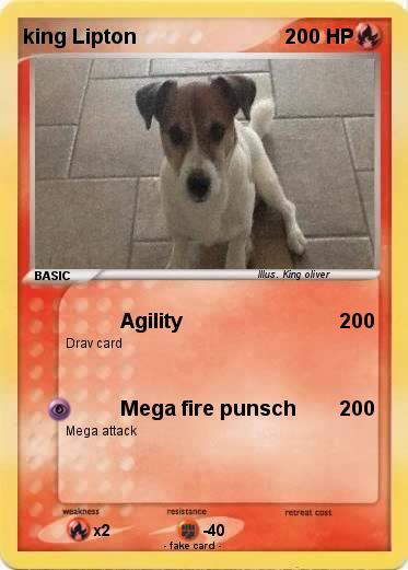 Pokemon king Lipton
