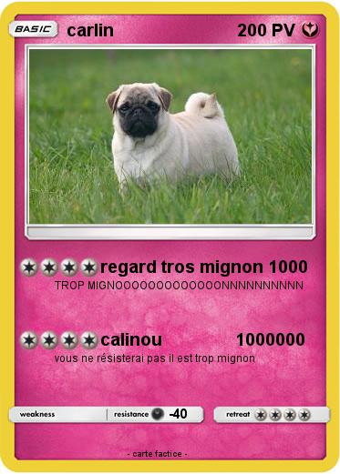 Pokemon carlin