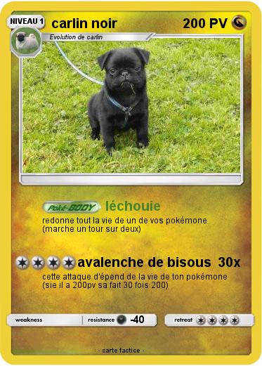 Pokemon carlin noir
