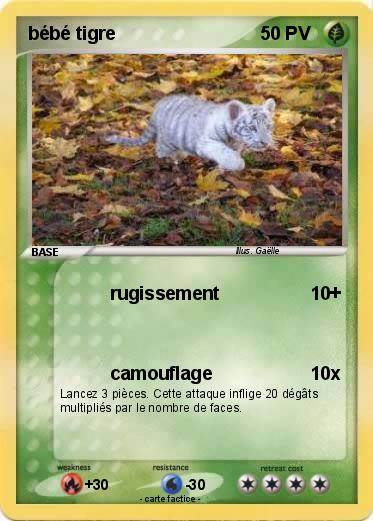 Pokemon bébé tigre