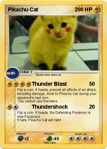 Pokemon Pikachu Cat