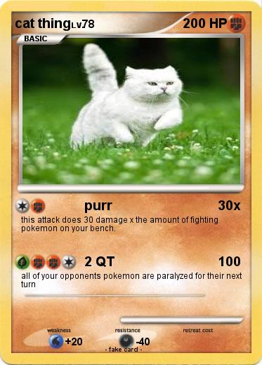 Pokemon cat thing