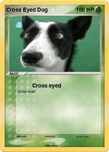 Pokemon Cross Eyed Dog
