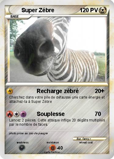 Pokemon Super Zébre