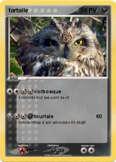 Pokemon tortoile