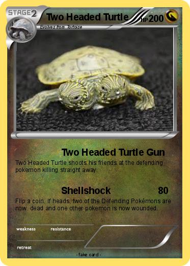 Pokemon Two Headed Turtle